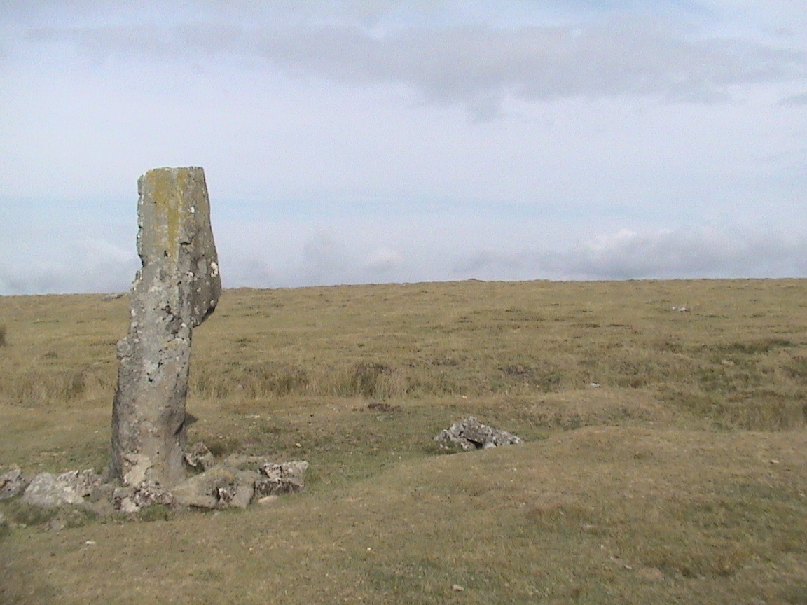 Langstone Moor Stone
